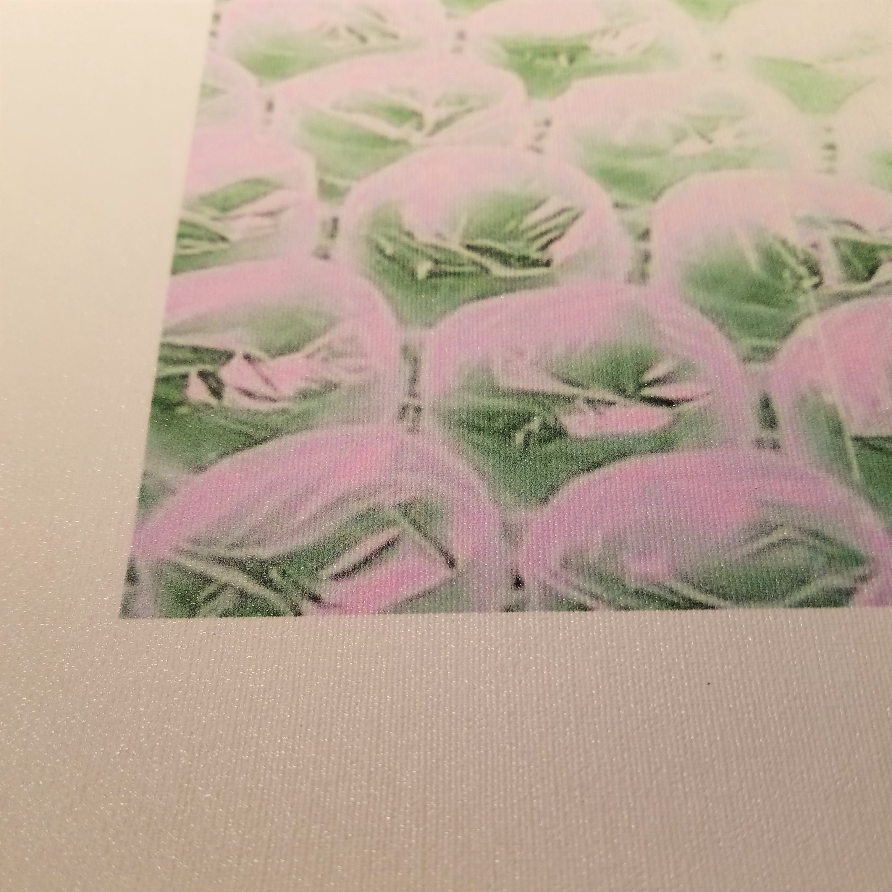 PINK BUBBLES unframed canvas print