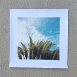 BLUE TEXAS CORTADOR  unframed canvas print