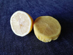 LE PETIT CHAPERON JAUNE lemon wedge covers