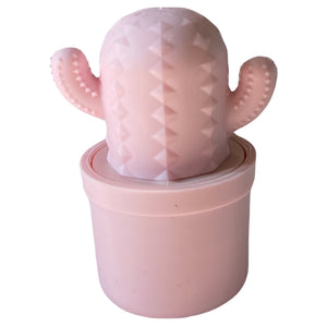 CACTUS LIP BALM birthday cake