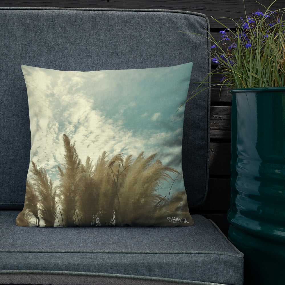 BLUE TEXAS CORTADOR square pillow