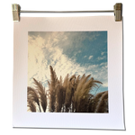 BLUE TEXAS CORTADOR  unframed canvas print
