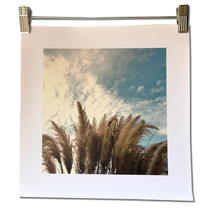 BLUE TEXAS CORTADOR  unframed canvas print