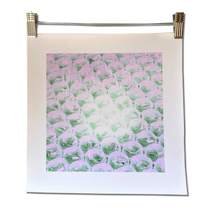 PINK BUBBLES unframed canvas print