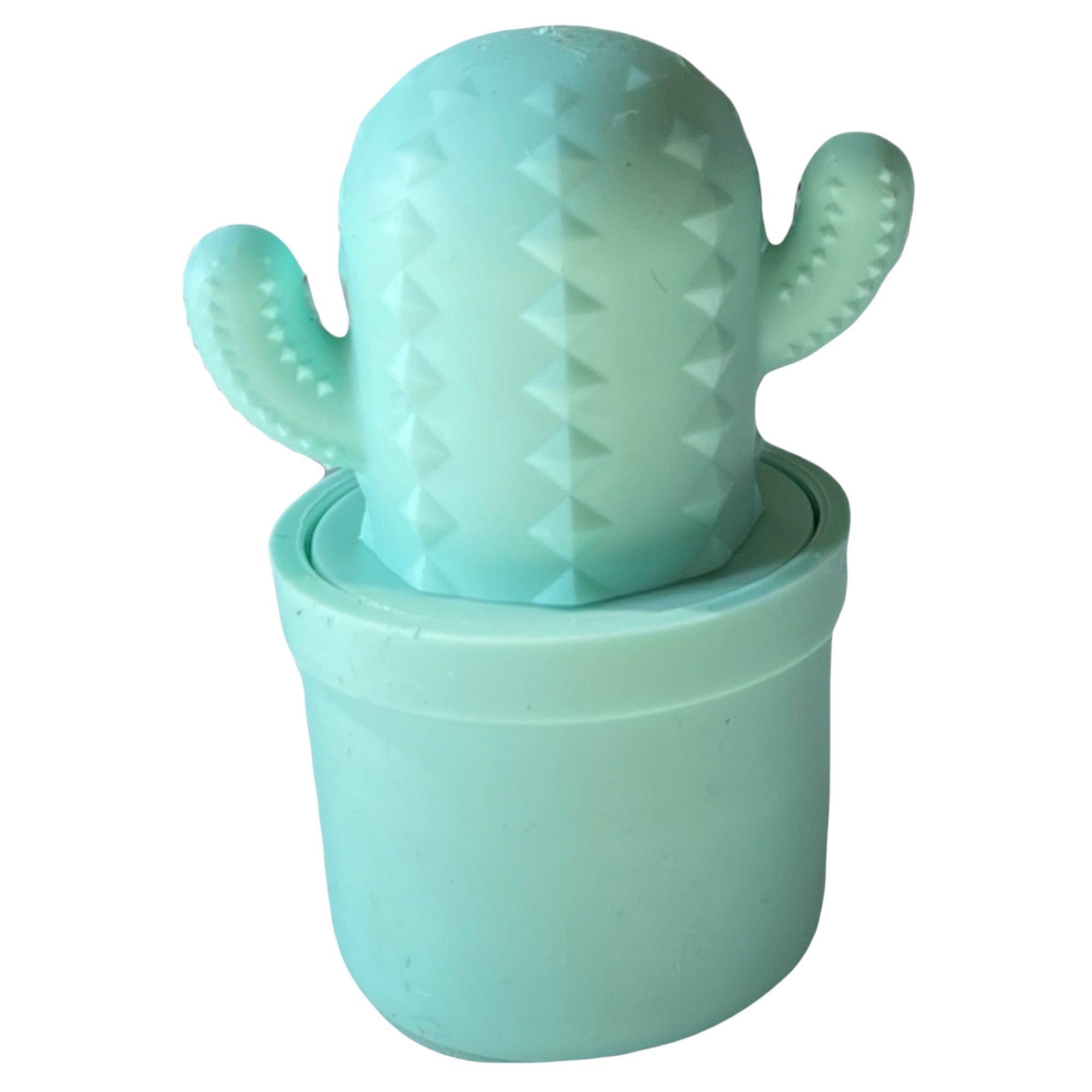 CACTUS LIP BALM summer citrus