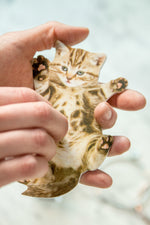 CAT NAIL FILE
