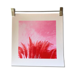 RED TEXAS CORTADOR unframed canvas print