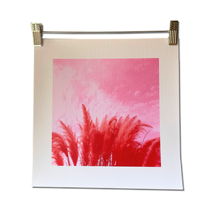 RED TEXAS CORTADOR unframed canvas print