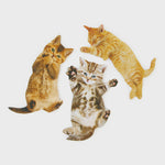 CAT NAIL FILE