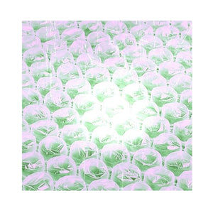 PINK BUBBLES unframed canvas print